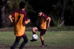 U14s-Div-4-Wenty-Waratah-vs-Toongabbie-Demons_0007_dhp2309020022_GDSFAGF_db