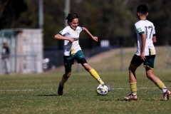 U15-Div1-Auburn-District-vs-Wentworthvi_0025_dhp2309090232_GDSFA_GF_db