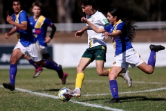 U15-Div1-Auburn-District-vs-Wentworthvi_0028_dhp2309090225_GDSFA_GF_db