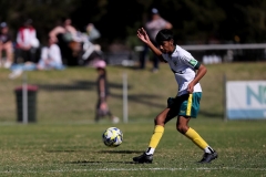 U15-Div1-Auburn-District-vs-Wentworthvi_0029_dhp2309090224_GDSFA_GF_db