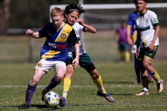 U15-Div1-Auburn-District-vs-Wentworthvi_0030_dhp2309090223_GDSFA_GF_db