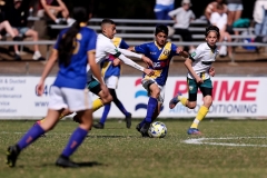 U15-Div1-Auburn-District-vs-Wentworthvi_0033_dhp2309090219_GDSFA_GF_db